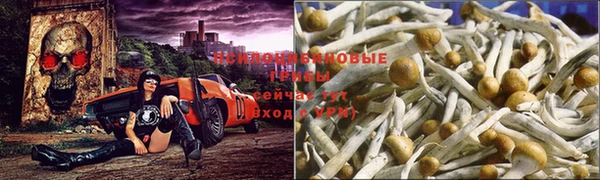 герыч Михайловск