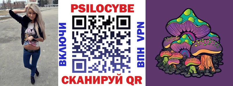 Галлюциногенные грибы Psilocybine cubensis  Десногорск 