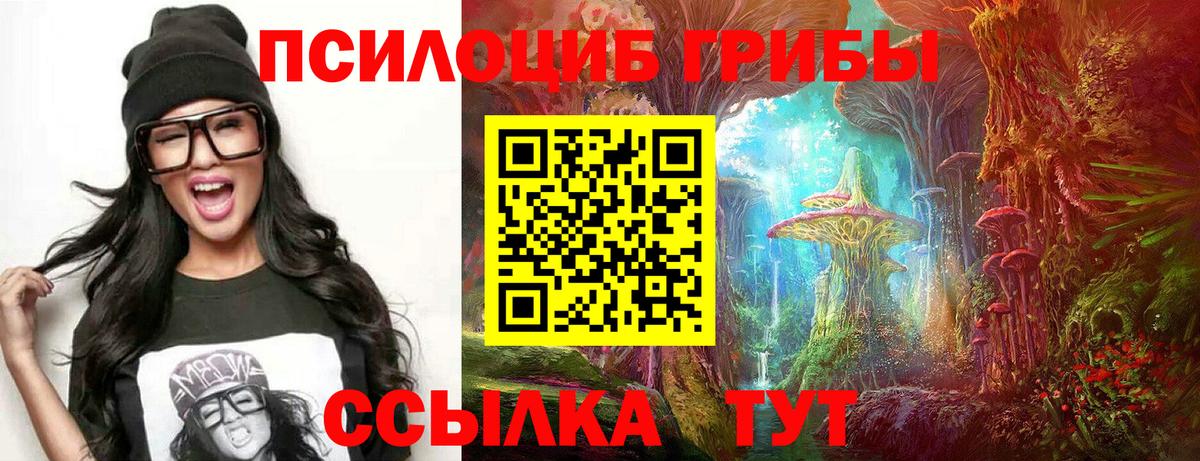 Десногорск  Псилоцибиновые грибы мицелий  Вход с VPN 