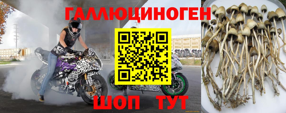 Псилоцибиновые грибы мицелий Десногорск