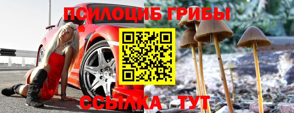 Галлюциногенные грибы GOLDEN TEACHER Десногорск